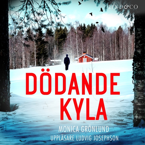 Omslagsbild till ljudboken Dödande kyla