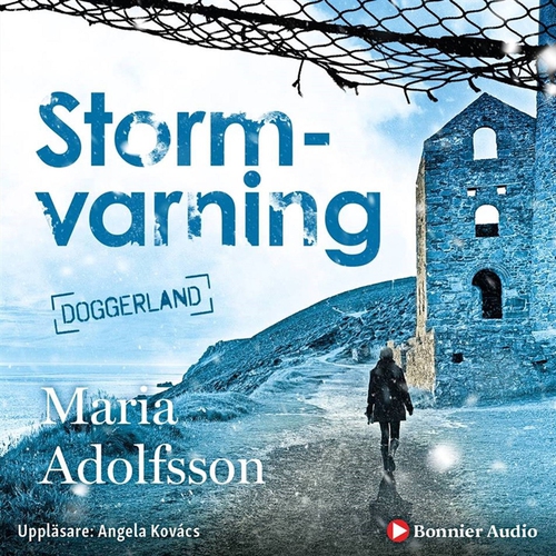 Omslagsbild till ljudboken Stormvarning