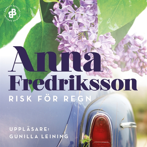 Omslagsbild till ljudboken Risk för regn