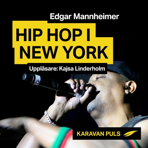 Omslagsbild till ljudboken Hiphop i New York